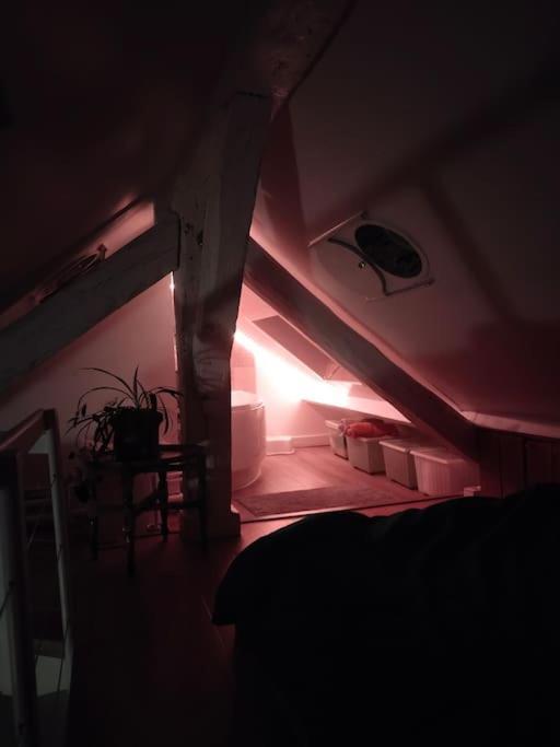 Studio Sous Les Toits Et Mezzanine - Vincennes Ngoại thất bức ảnh